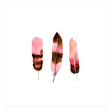 Blush Feathers (Print Only) thumbnail