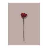 Poppy (Print Only) thumbnail