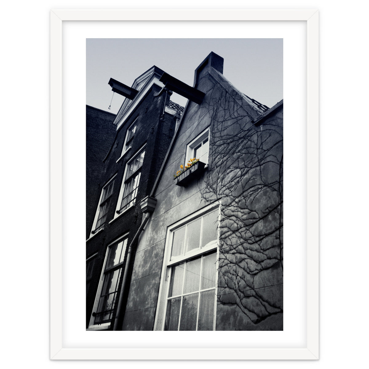 Amsterdam. House With Yellow Flowers.