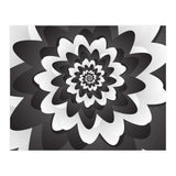 Mono Chrome Flower Spiral Pattern (Print Only) thumbnail