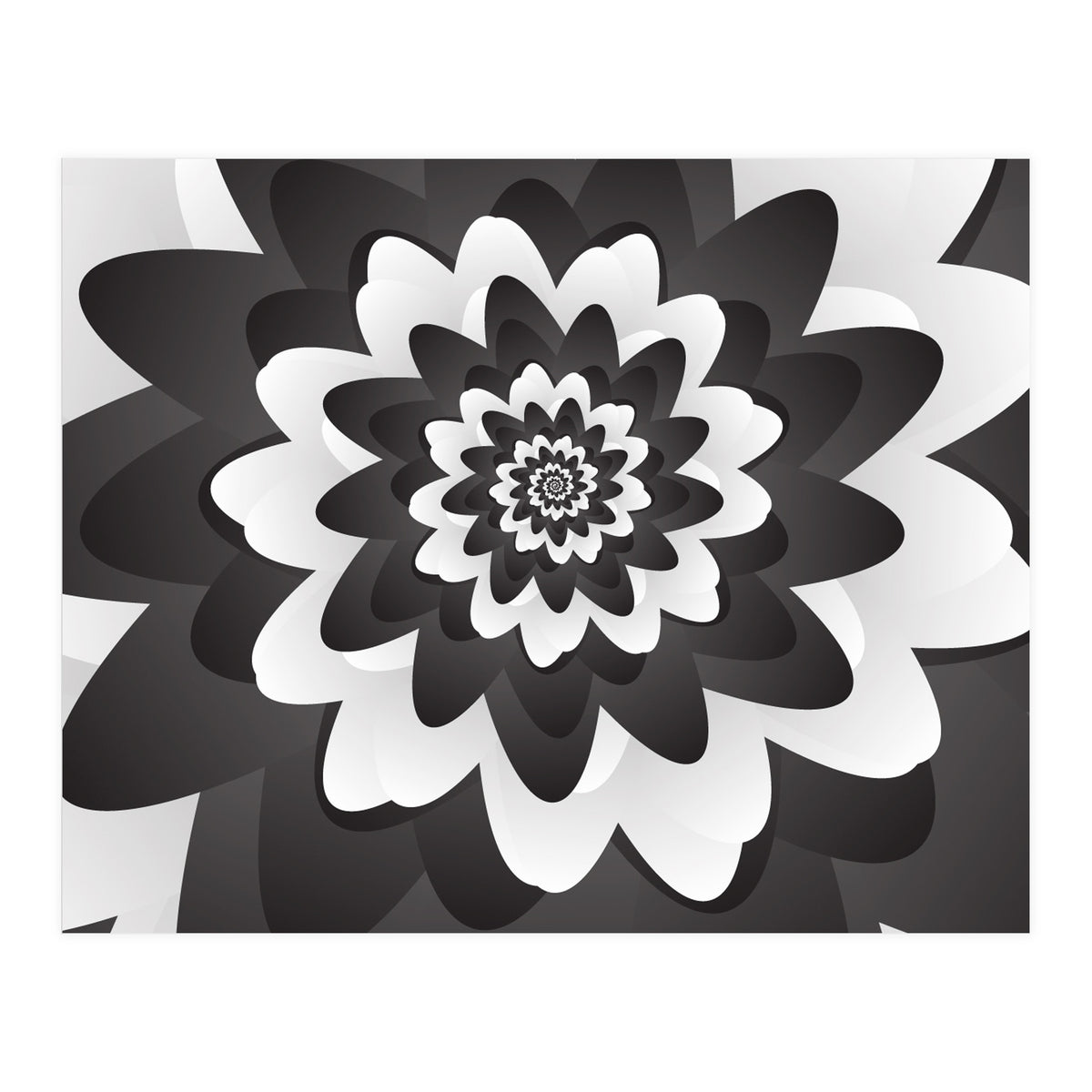 Mono Chrome Flower Spiral Pattern (Print Only)