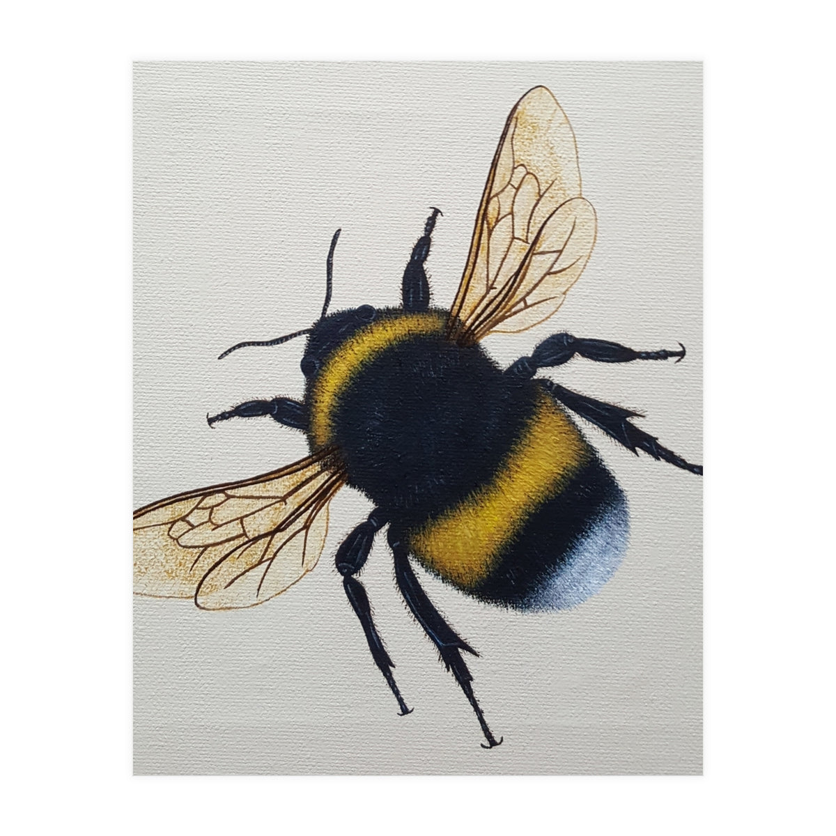 Bumblebee  (Print Only)