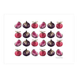Apple & Figs (Print Only) thumbnail