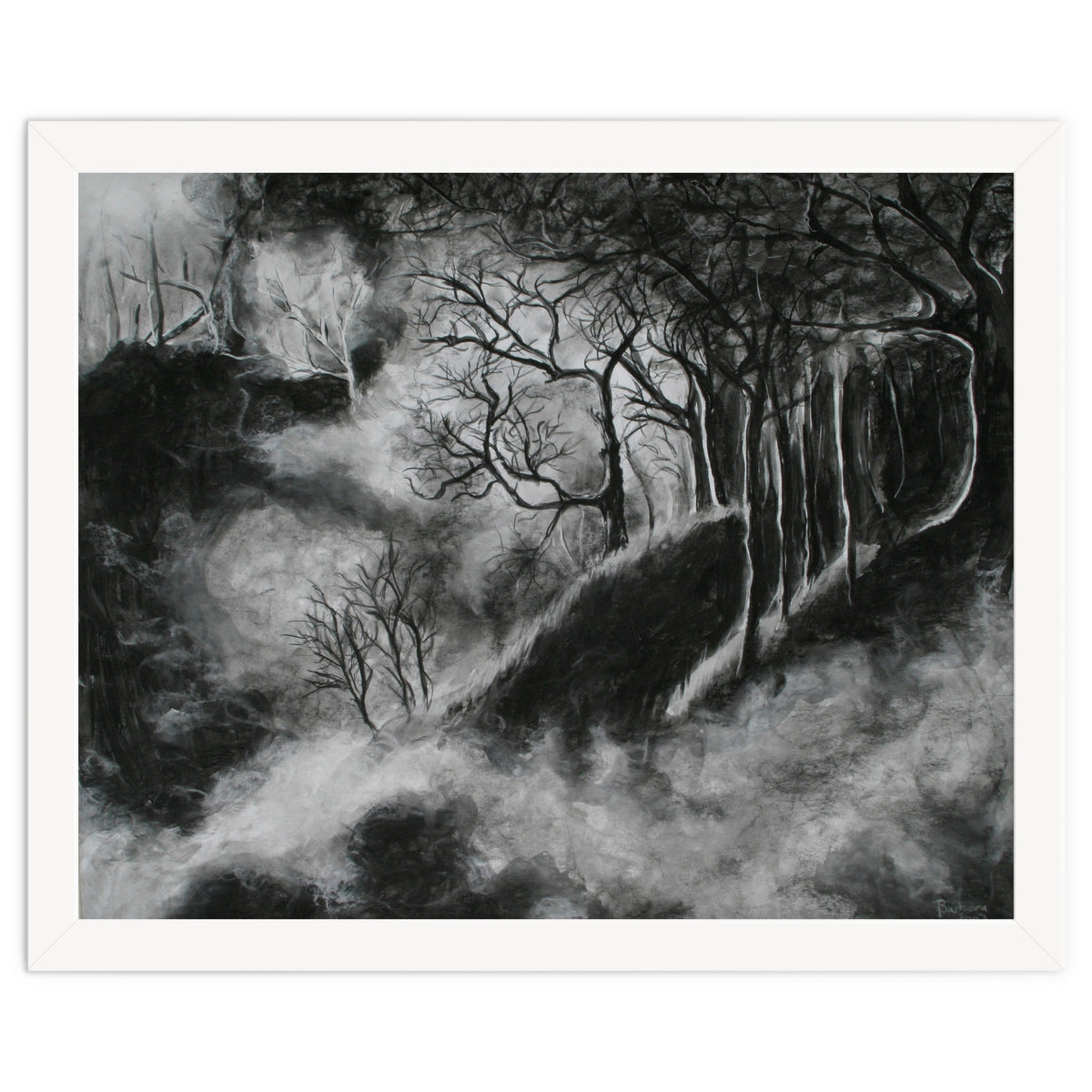 Black and White Forest in Clouds