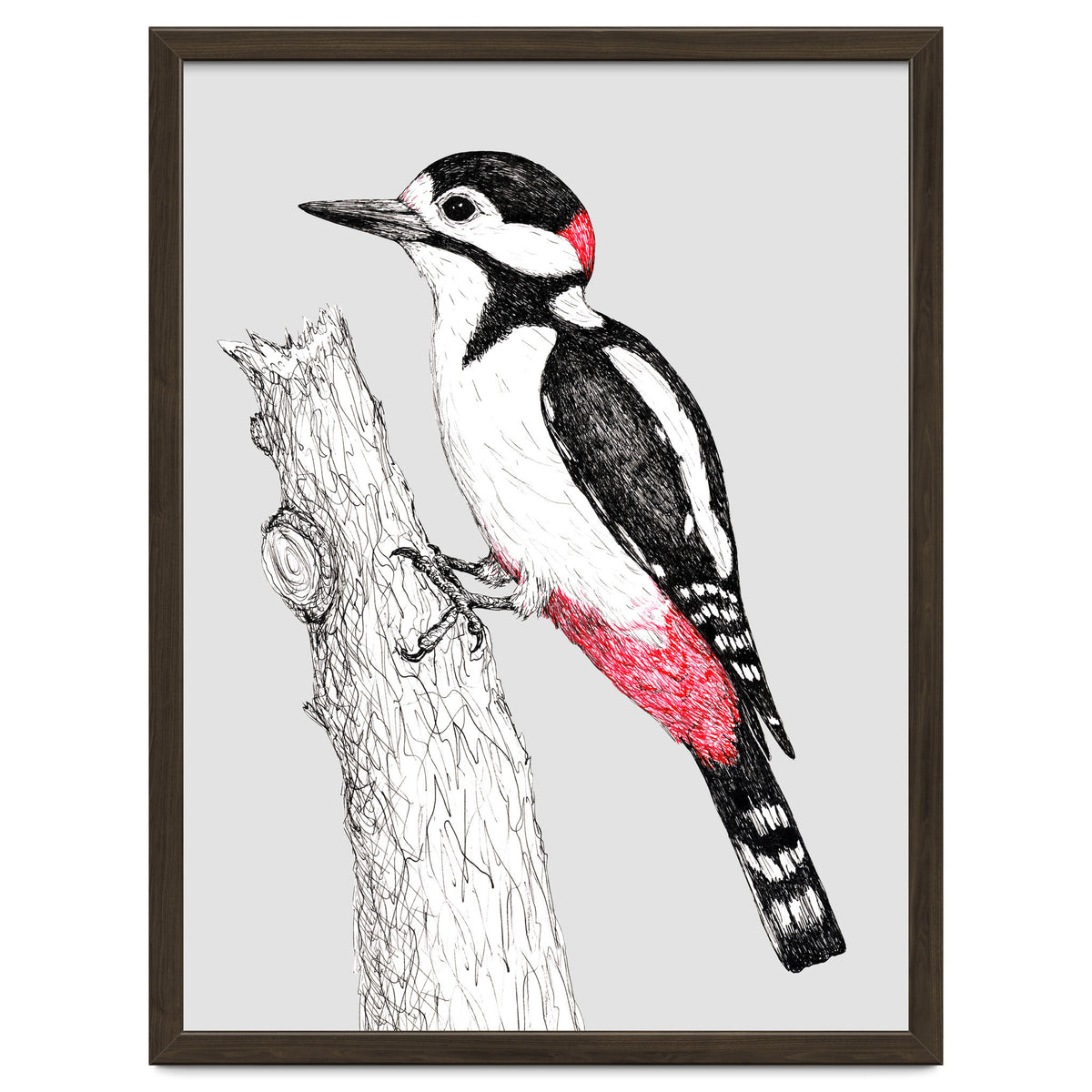 Great spotted woodpecker