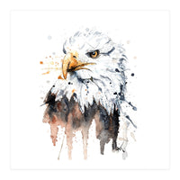 Bald Eagle - Wildlife Collection (Print Only)