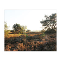 Heath landscape (Print Only)