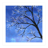 Tree in bloom  (Print Only) thumbnail