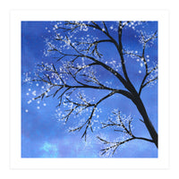 Tree in bloom  (Print Only)