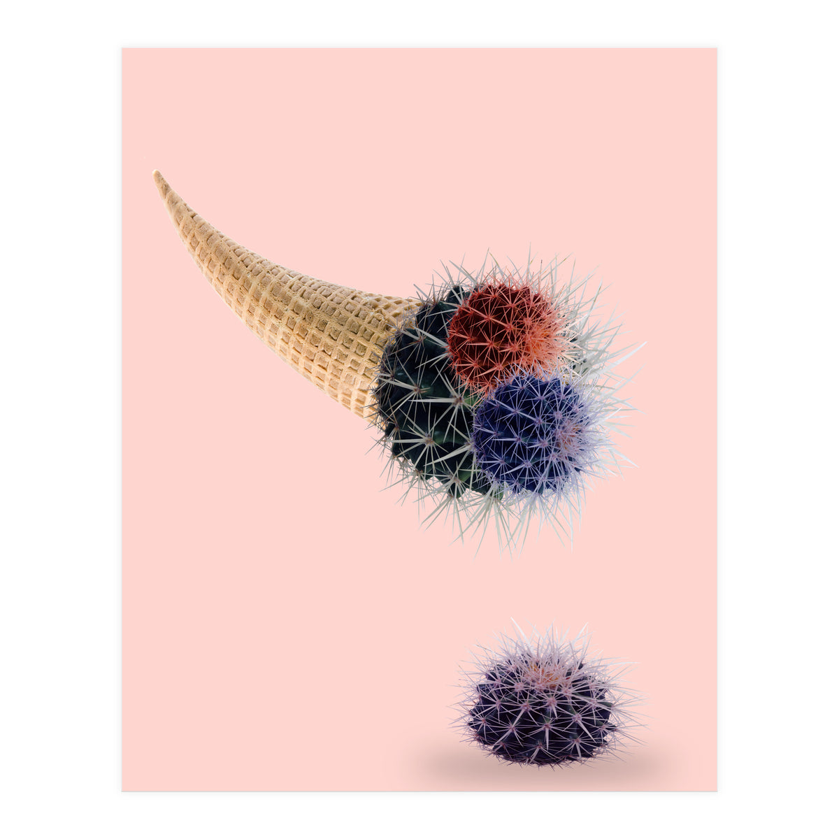 Cactus Cream 50x70 (Print Only)