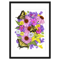 Corn Flowers and Swallowtails