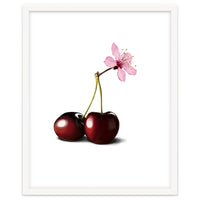 Cherry Blossom