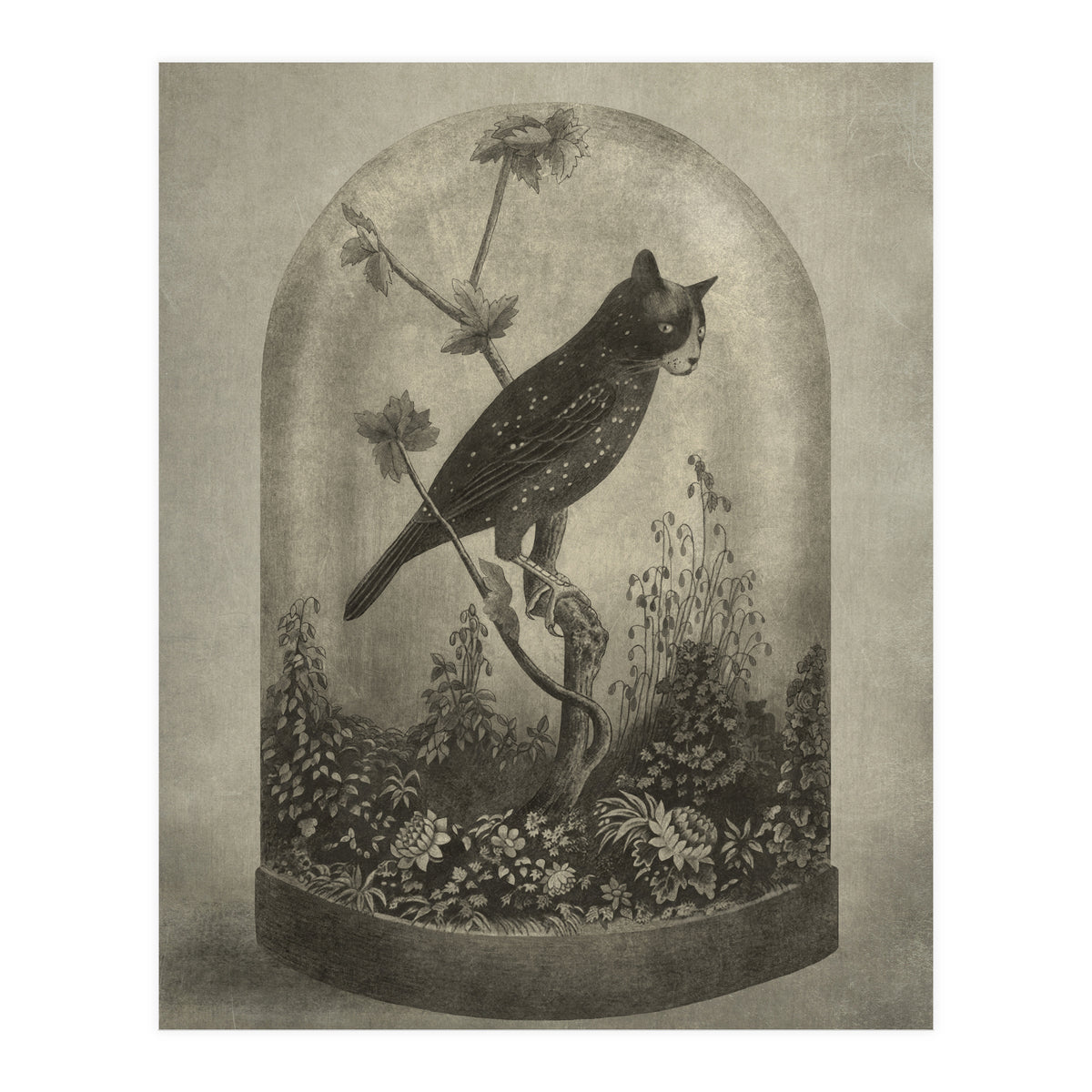 The Curiosity (Print Only)