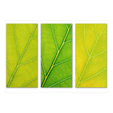 Autumn Leaves (Print Only) thumbnail