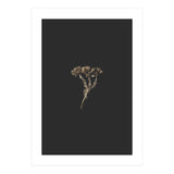 Gold Burst Botanicals (Print Only) thumbnail