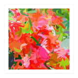 Preconceived Blossom (Print Only) thumbnail
