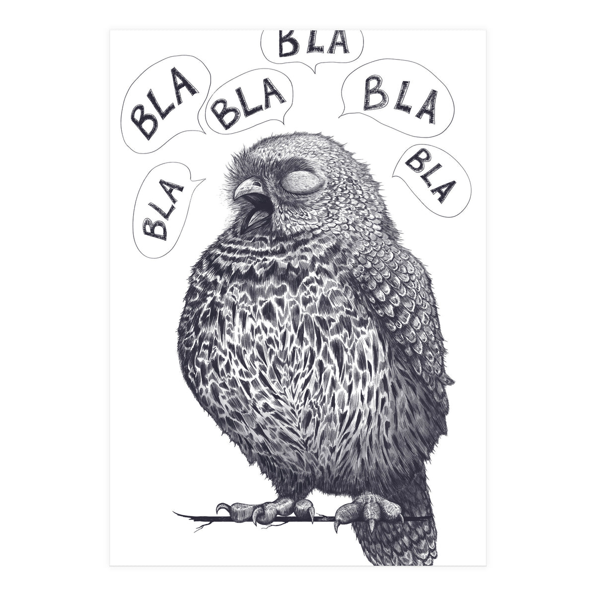 Owl Bla Bla Bla (Print Only)