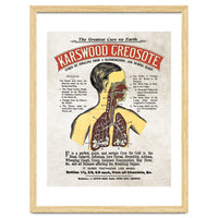 anatomy digestive system poster