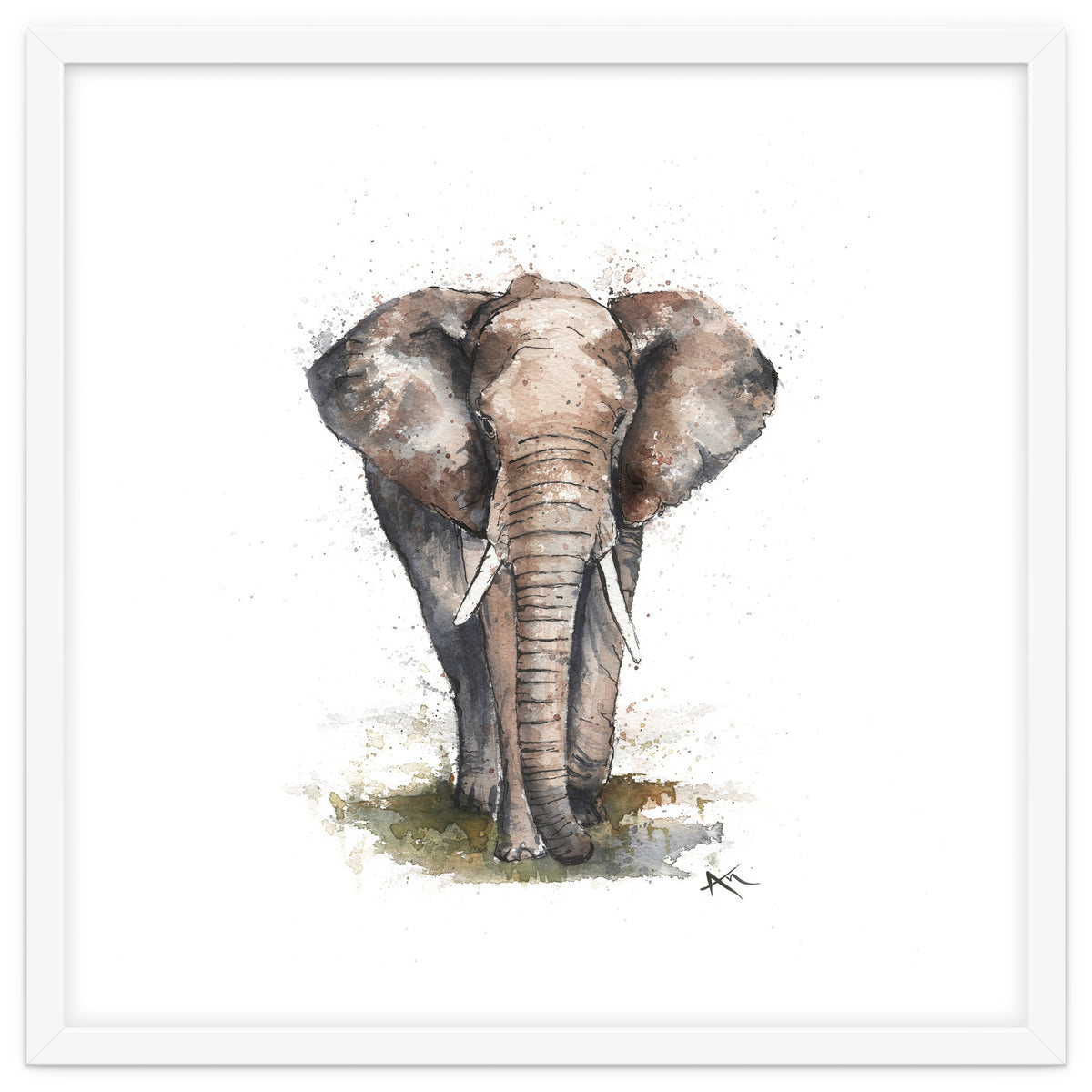 Elephant - Wildlife Collection