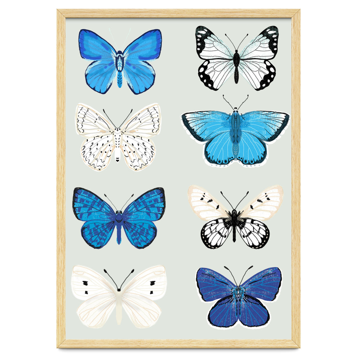 Lepidoptery Study No. 3