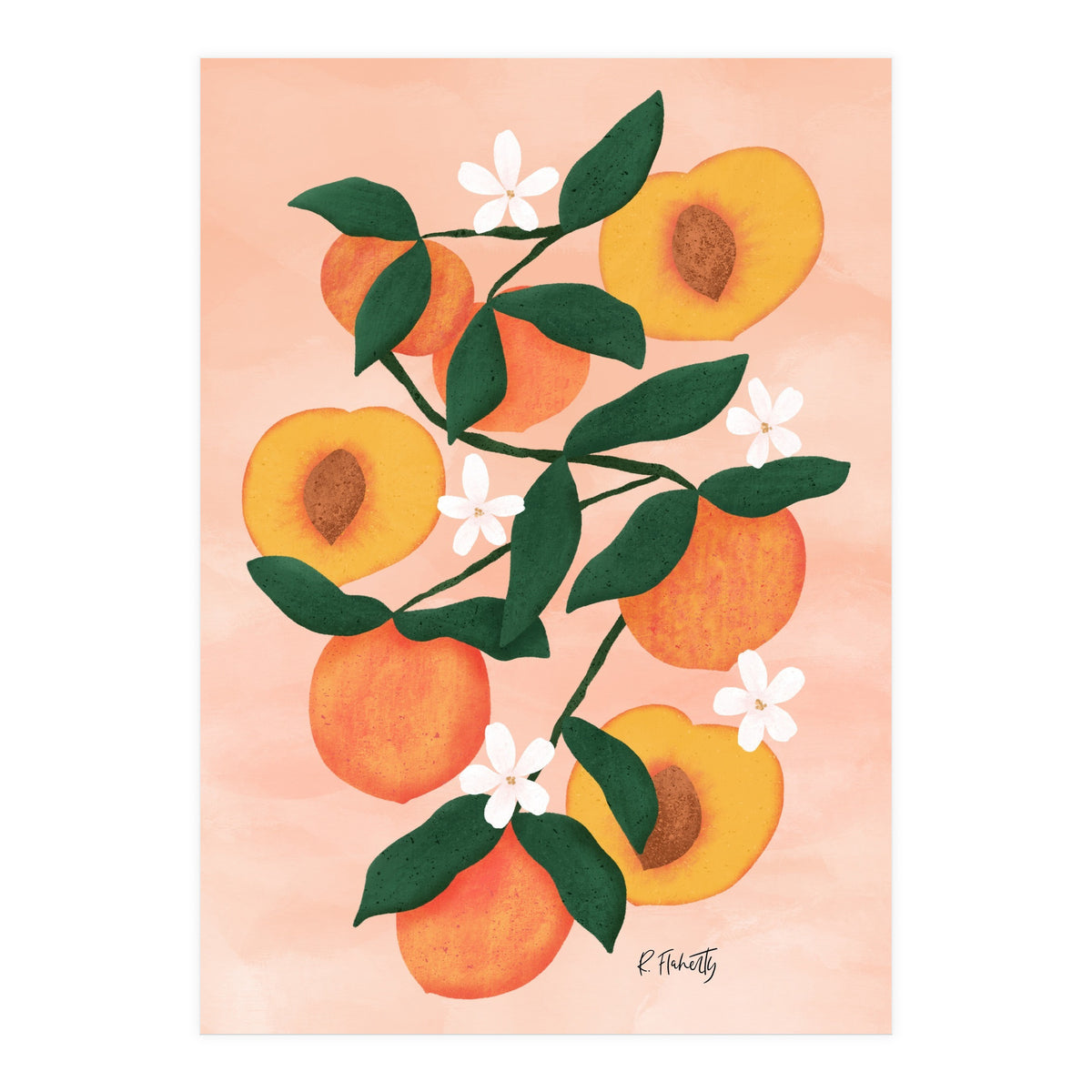 Summer Peaches (Print Only)