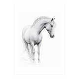 Horse Line Art (Print Only) thumbnail