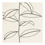 LEAF IN LINE 01 (Print Only) thumbnail
