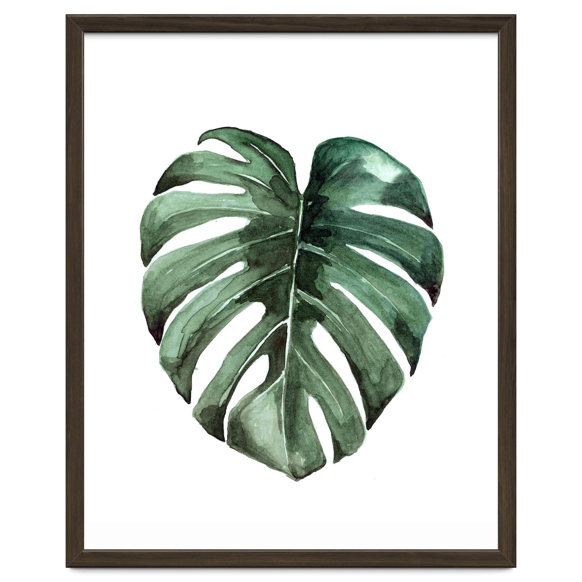 Botanical Illustration Monstera Deliciosa