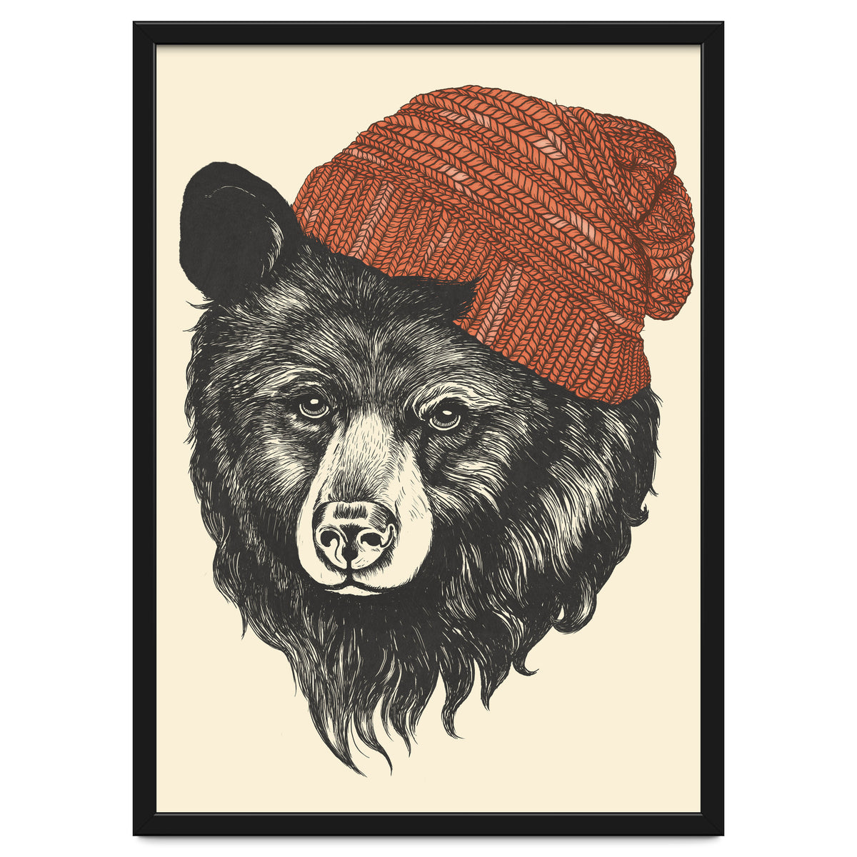 Zissou The Bear