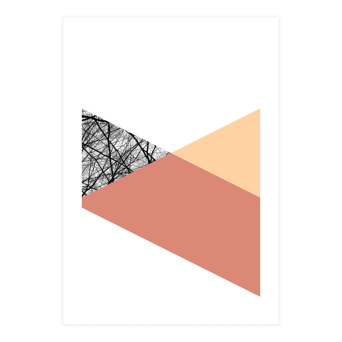 TRIWOOD II (Print Only)