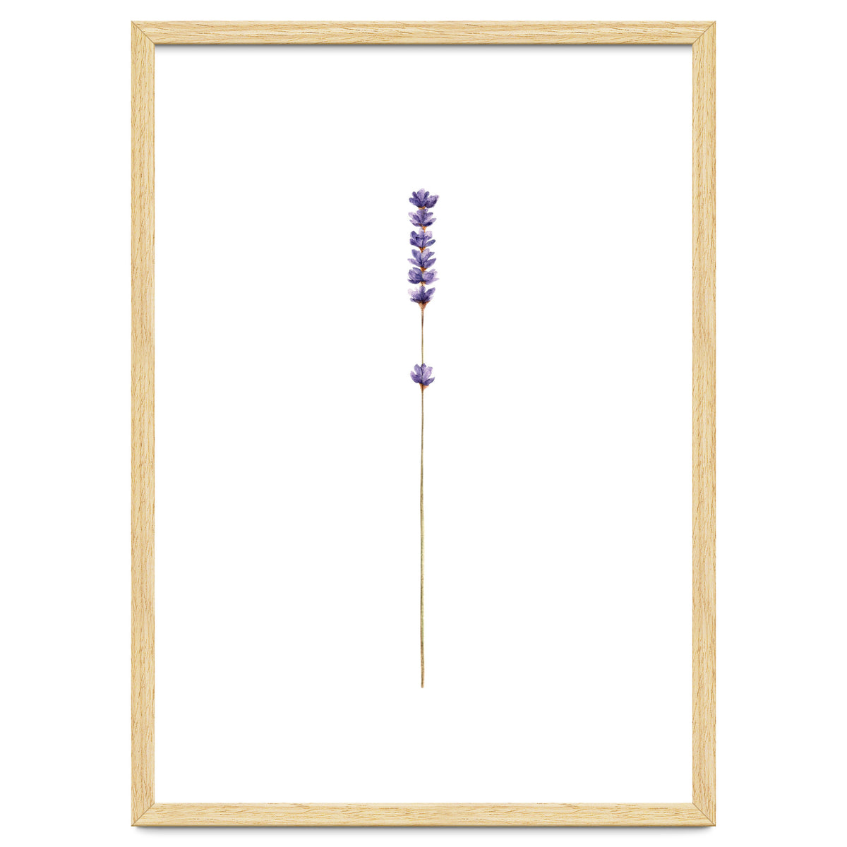 Lavender twig