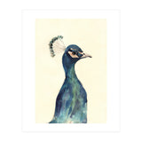 Peacock (Print Only) thumbnail
