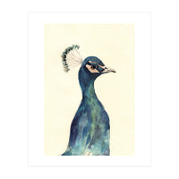 Peacock (Print Only)