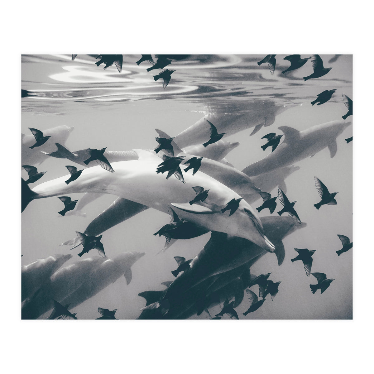 Found Out (Print Only)