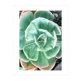 68 (Print Only) thumbnail