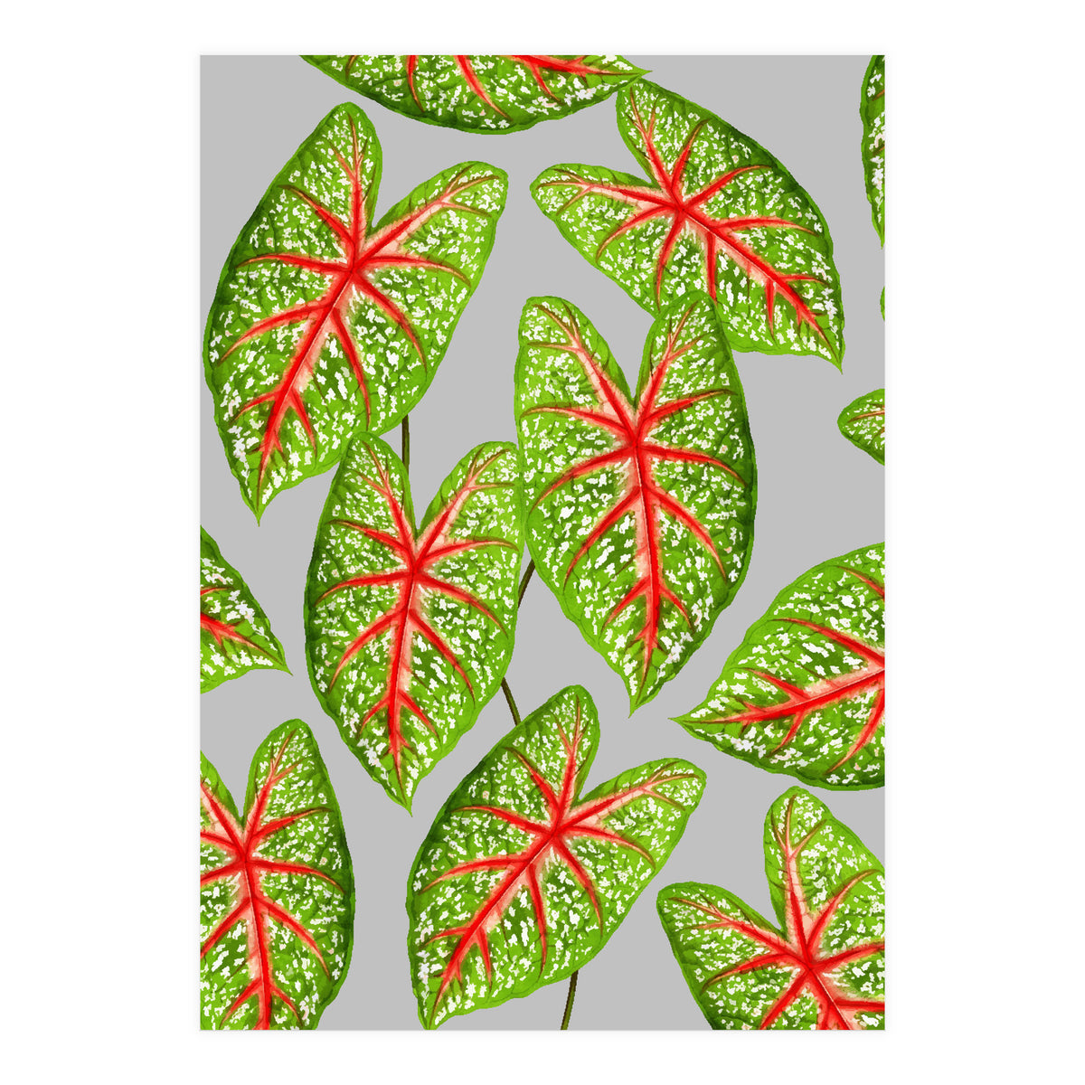 Expression Of Peace (Print Only)