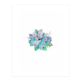 Aqua Succulent (Print Only) thumbnail