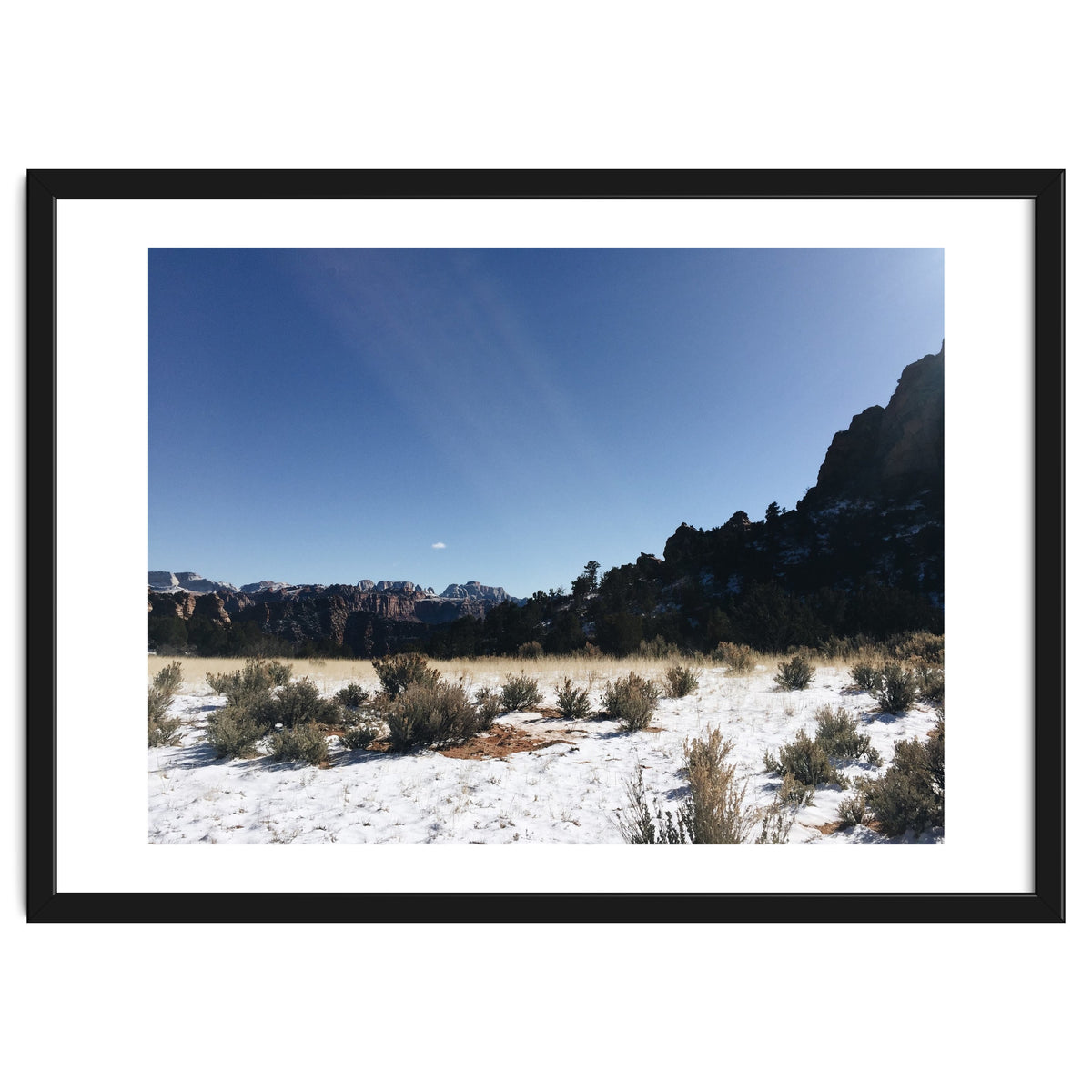 Zion National Park II