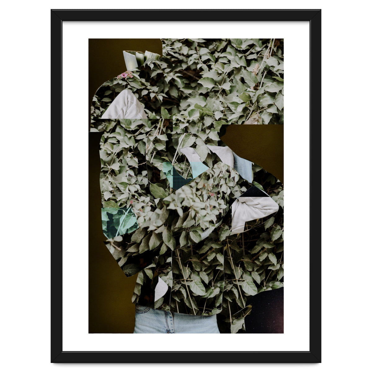 Disappeared Dreams 2