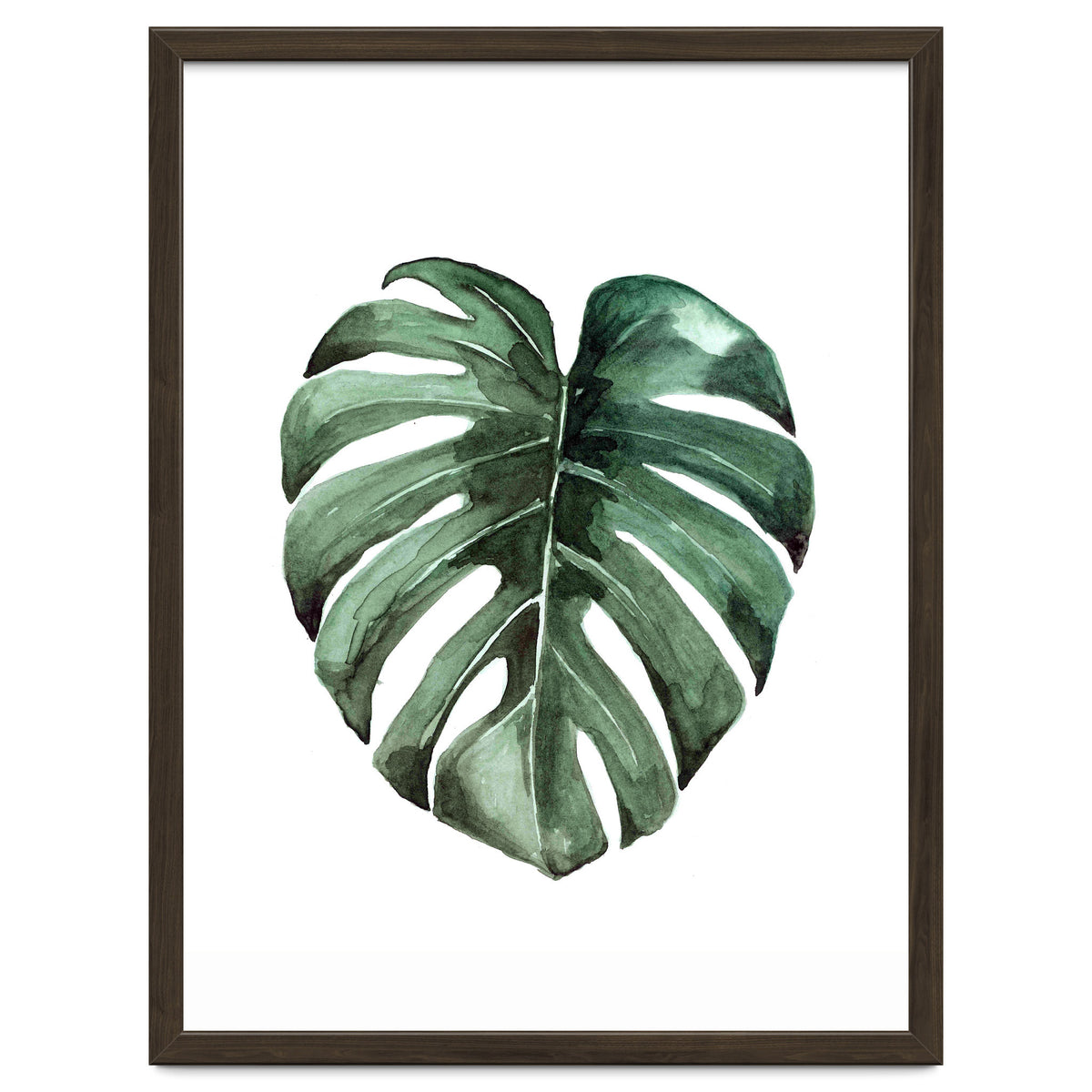 Botanical Illustration Monstera Deliciosa
