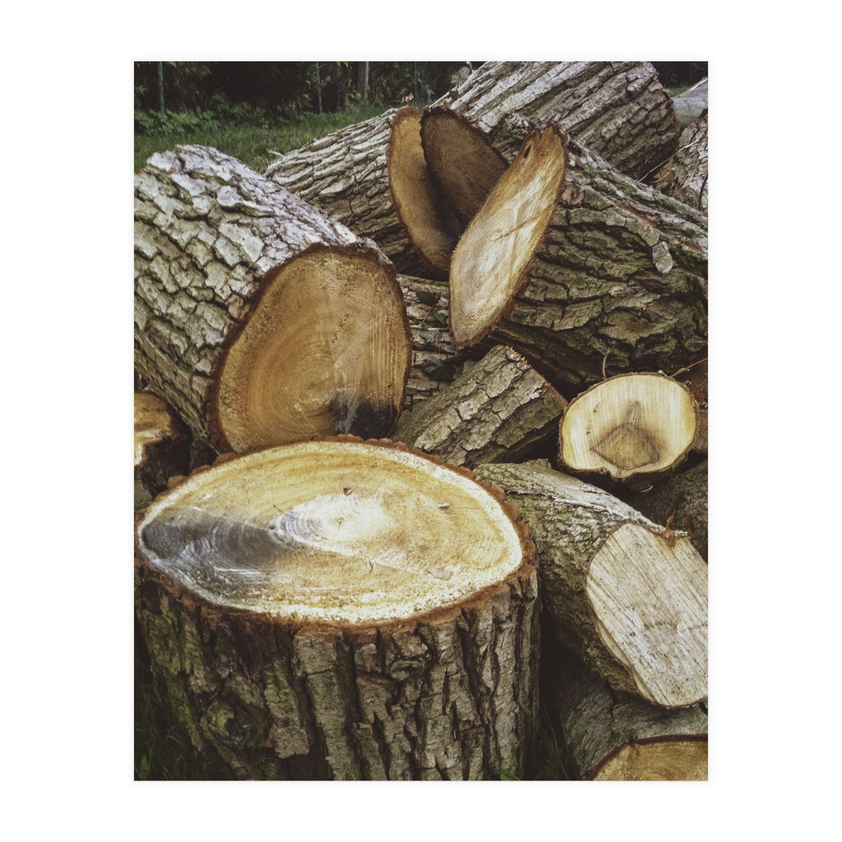 Bucolism 4 (Print Only)