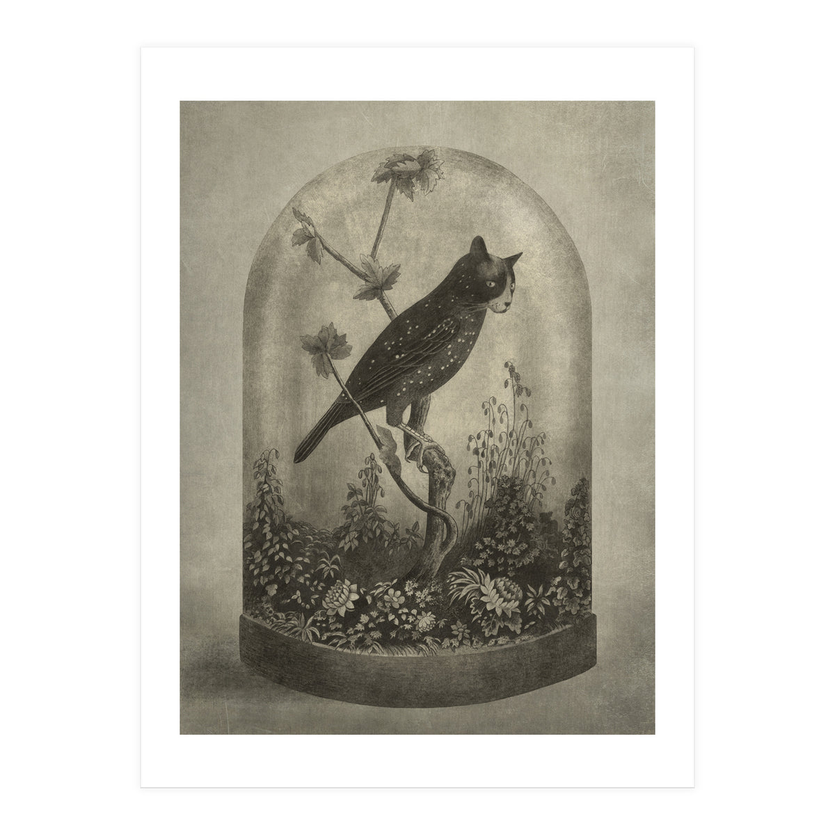 The Curiosity (Print Only)