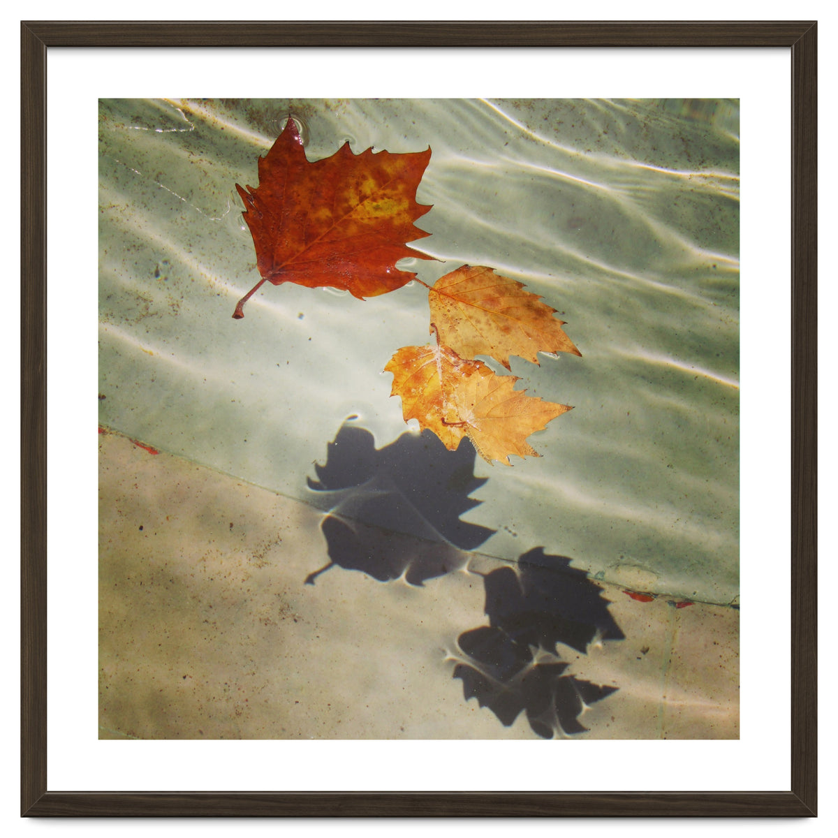 Floating leaves