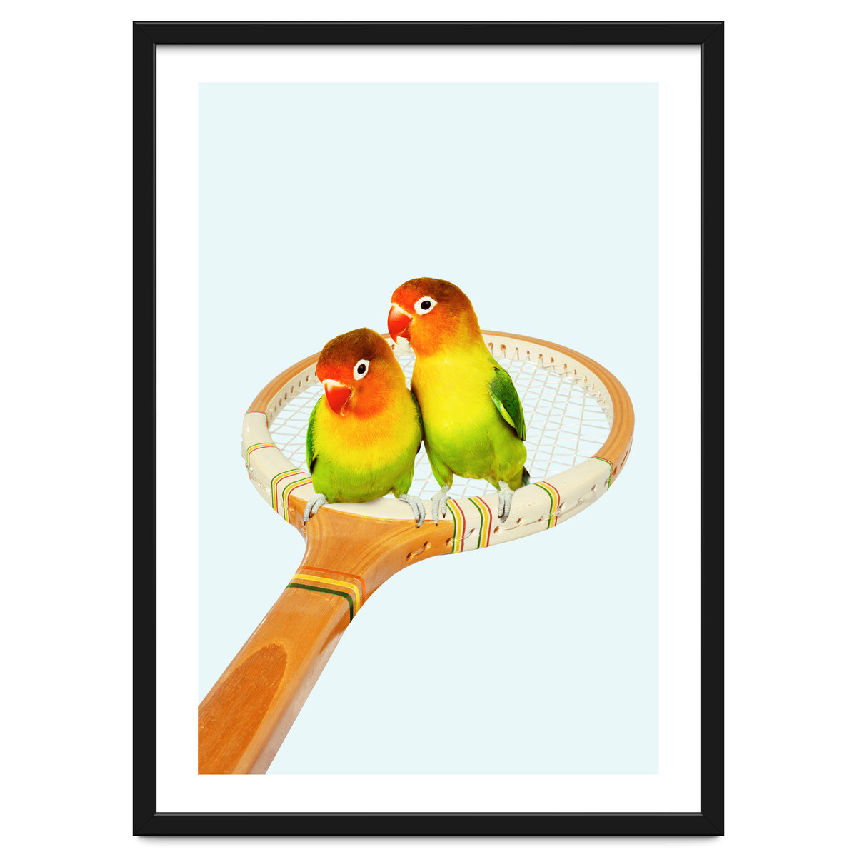 Retro Birds