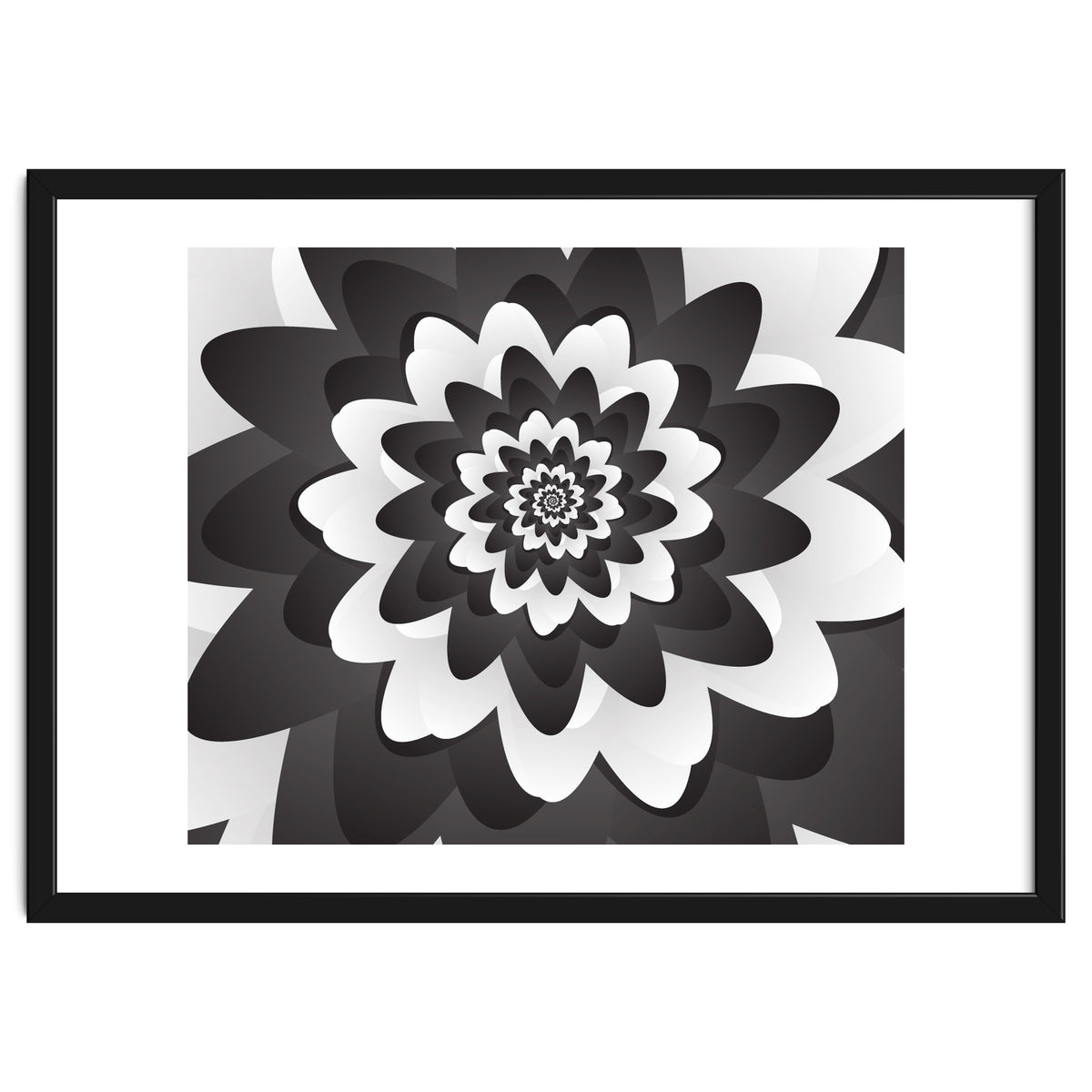 Mono Chrome Flower Spiral Pattern