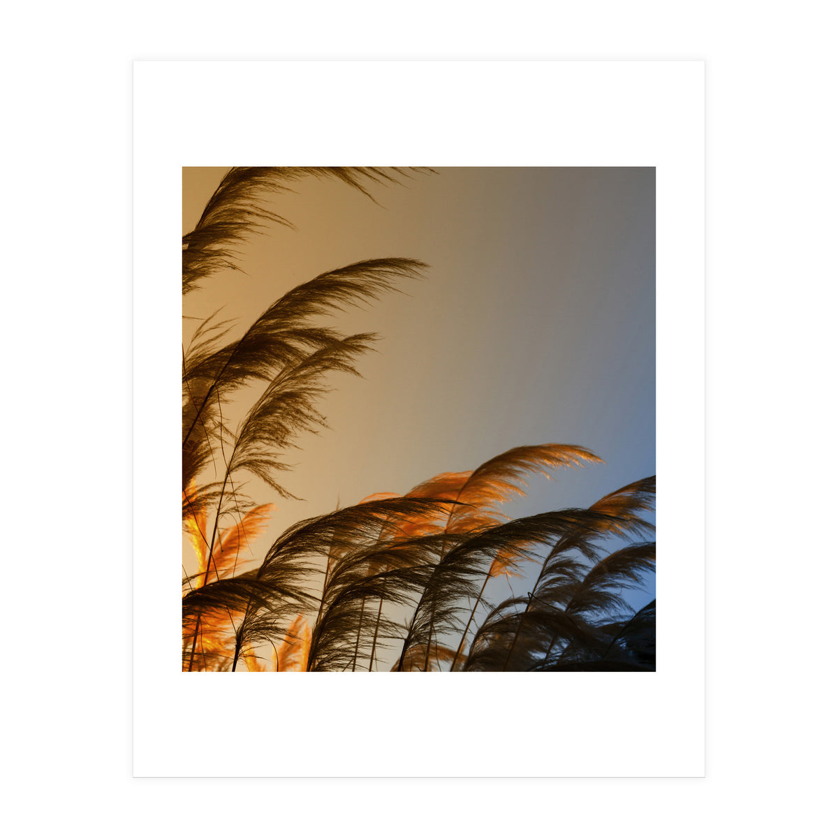 Sunset in autumn (Print Only)