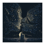 Starcrossed (Print Only) thumbnail
