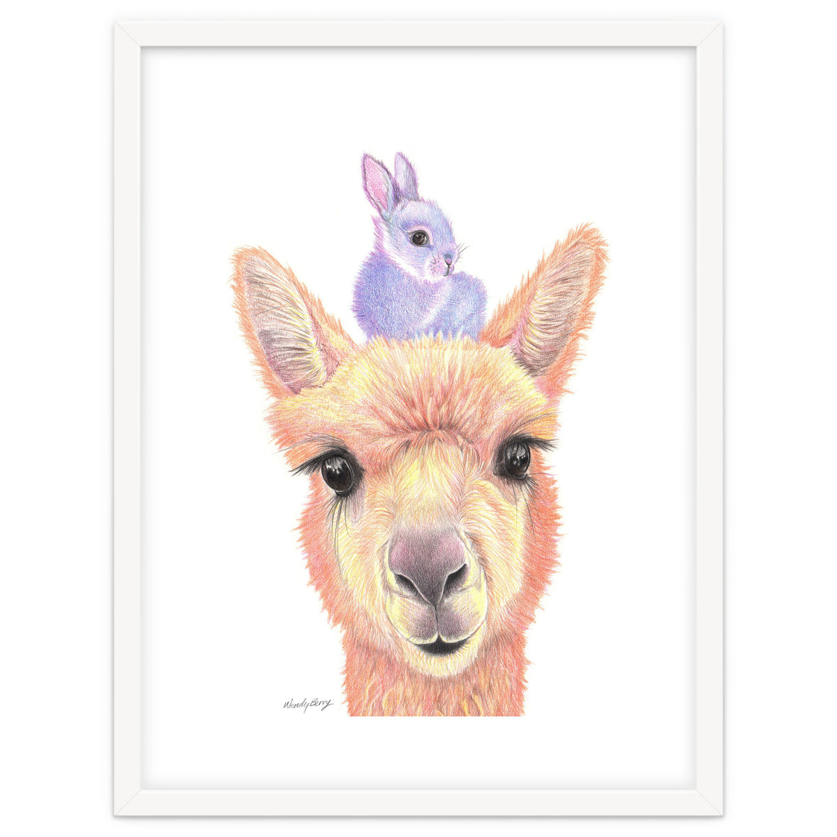 Alpaca and Bunny