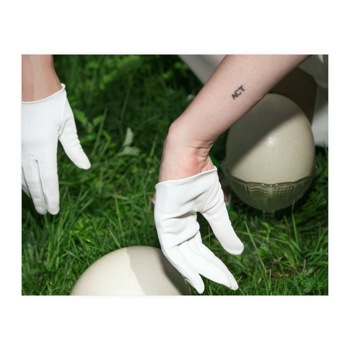 Dinosaur Inside (Print Only)