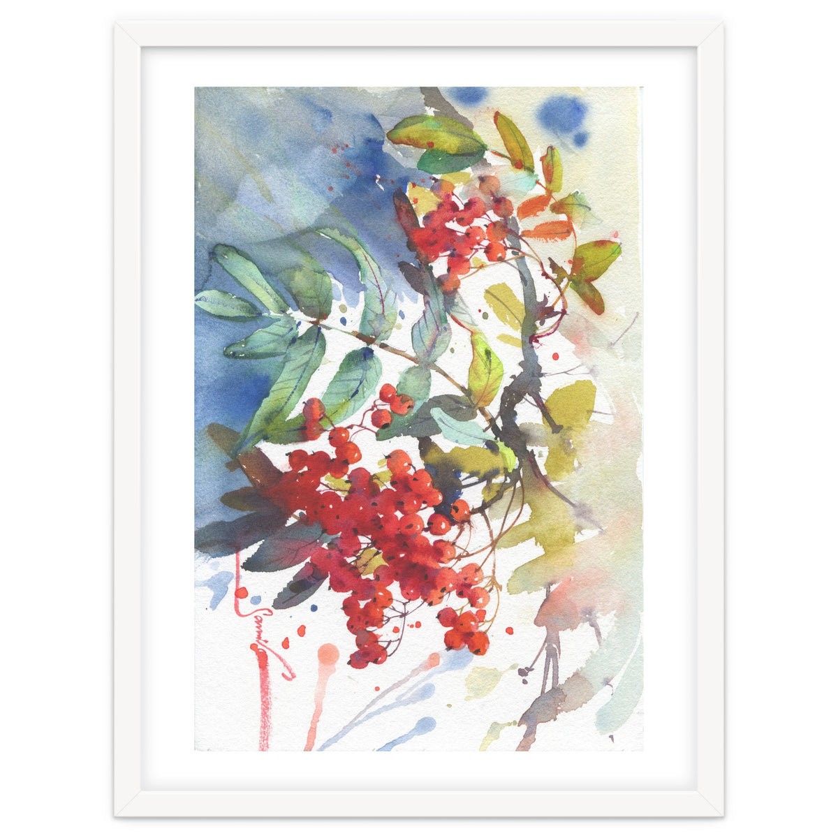 Viburnum / Guelder rose